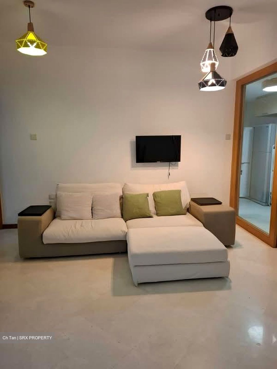 8 @ Mount Sophia (D9), Condominium #575613191